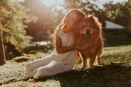 Een meisje in een witte jurk omhelst een hond naast een gezellig hondenbed, uitstralend warmte en genegenheid