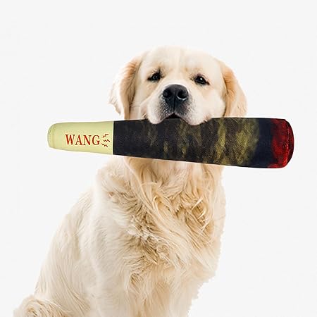 Een speelse hond met een Piepende Sigaar in zijn mond, enthousiast en klaar voor een spel of een leuke buitenactiviteit