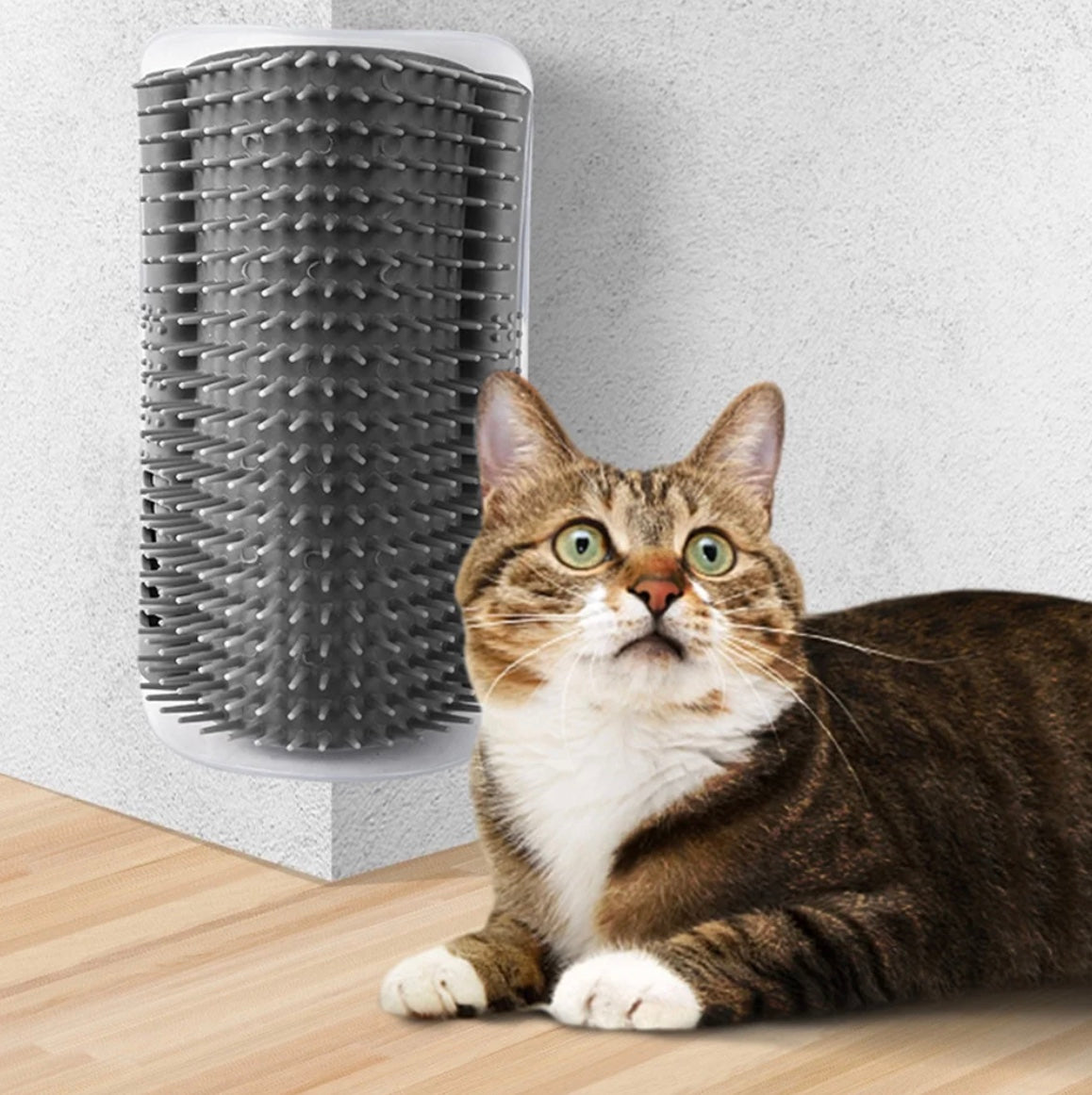 Fluffy kat rust naast een Kattenmassageborstel, een verzorgingstool ontworpen voor ontspanning, zelfzorg en extra comfort met kleefstrips