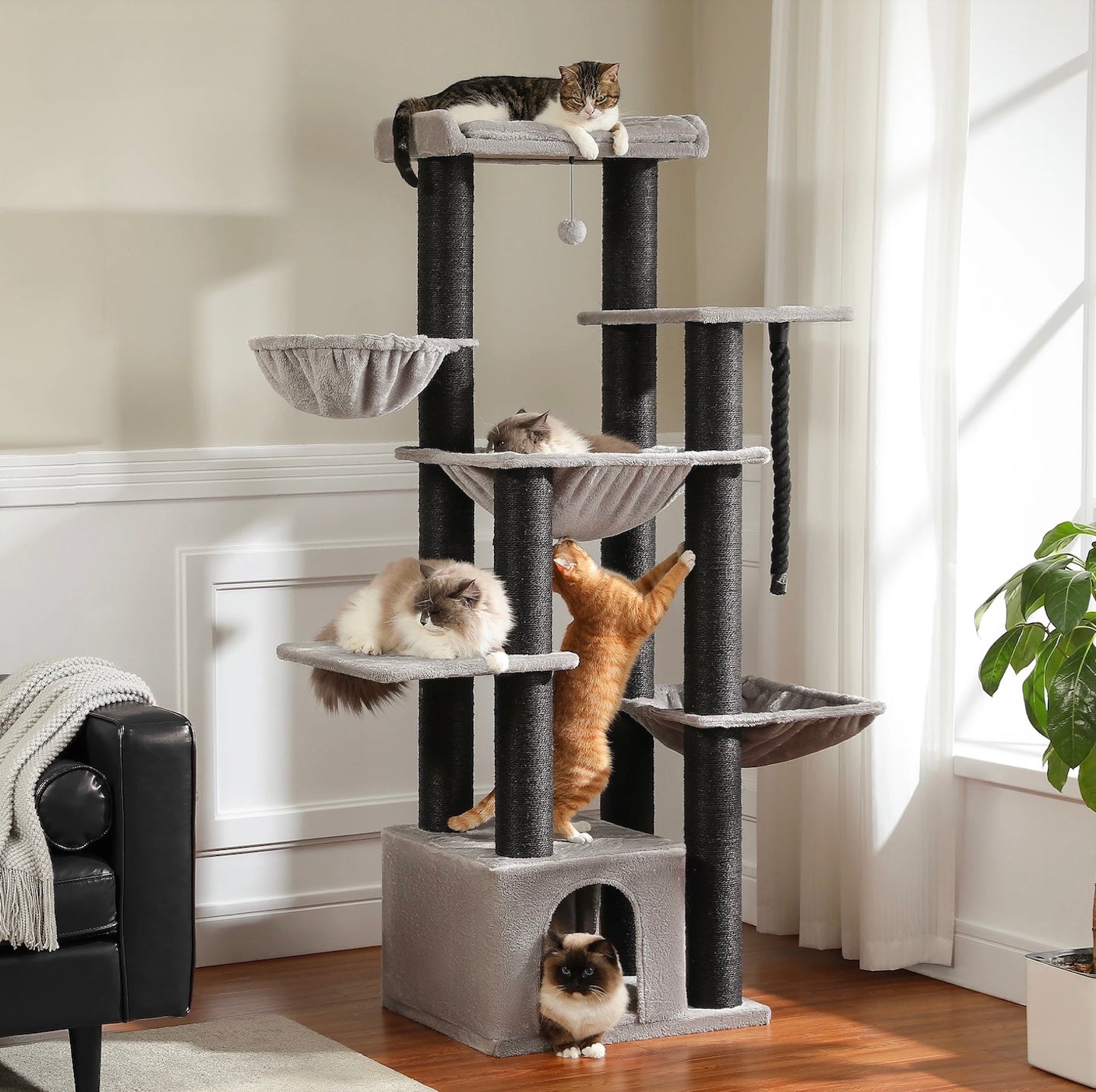 Binnenopstelling van de Maine Coon Speeltoren XXL met katten