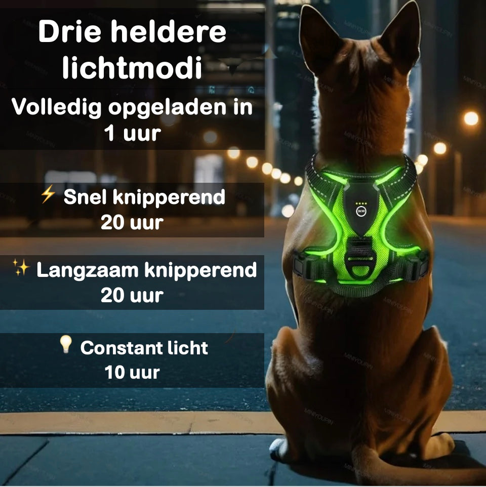 LumoDog Oplaadbaar LED Hondenharnas – Sterk & Reflecterend - Unopets - Beste producten voor honden en katten