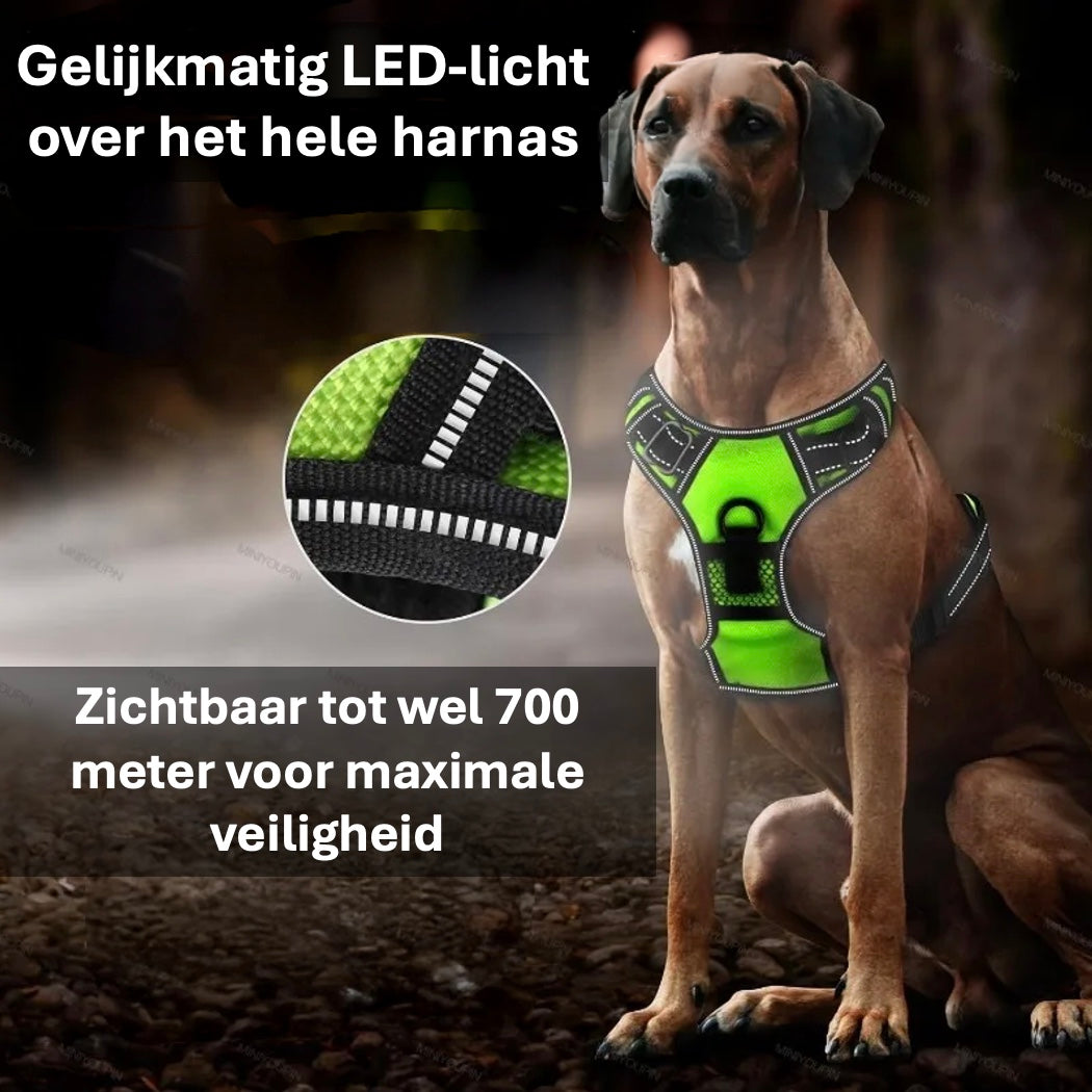 LumoDog Oplaadbaar LED Hondenharnas – Sterk & Reflecterend - Unopets - Beste producten voor honden en katten