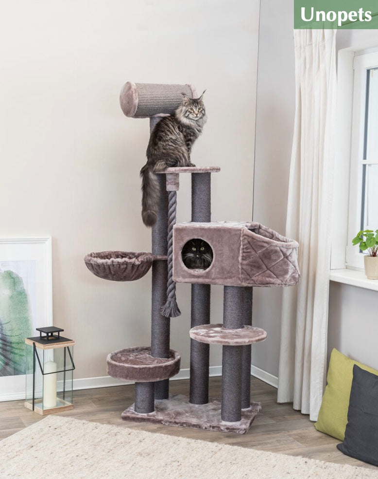 SkyHigh Krabpaal in een binnenomgeving met katten