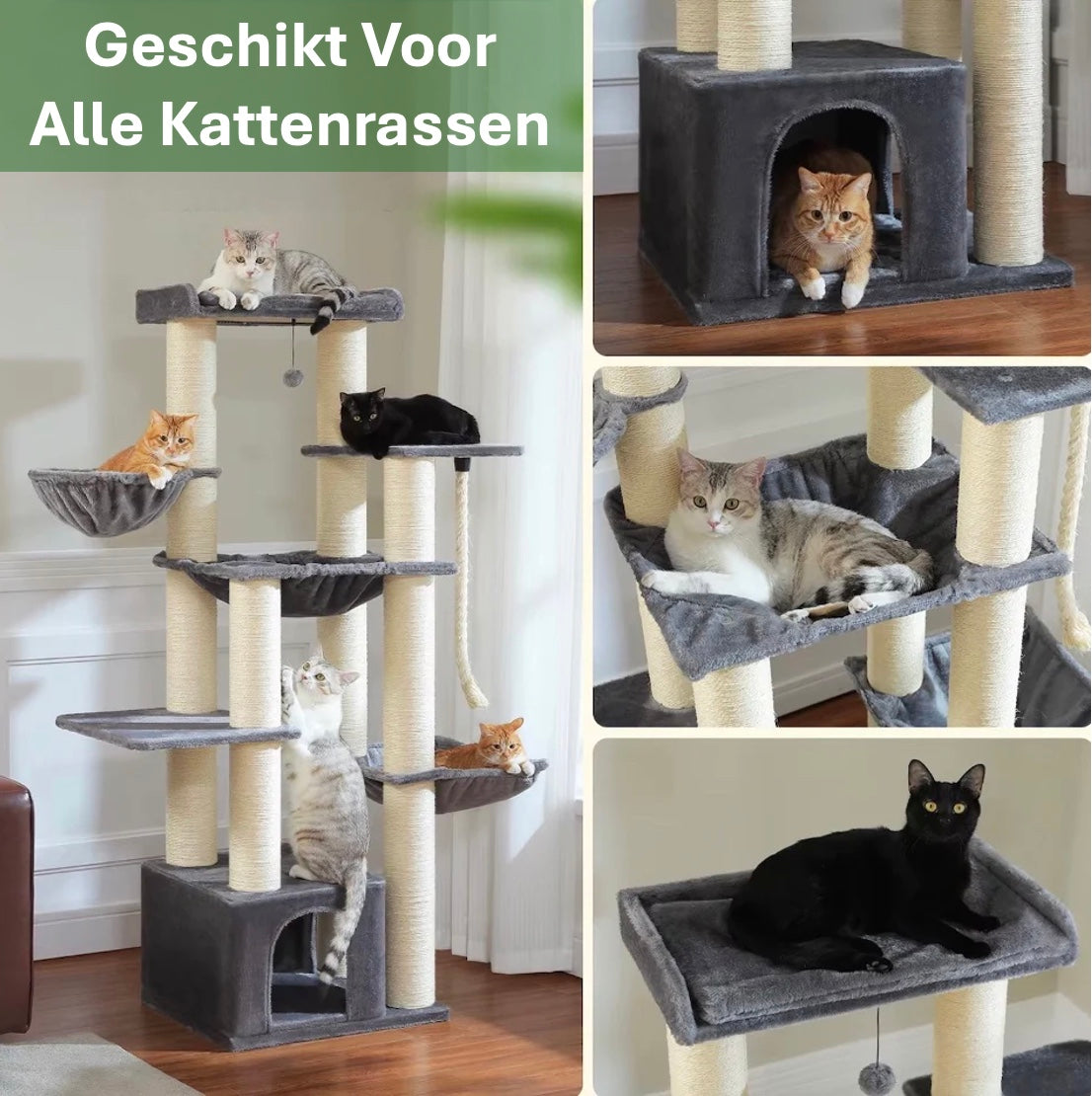 Maine Coon Speeltoren XXL toont zijn kattenbedden van hoge kwaliteit