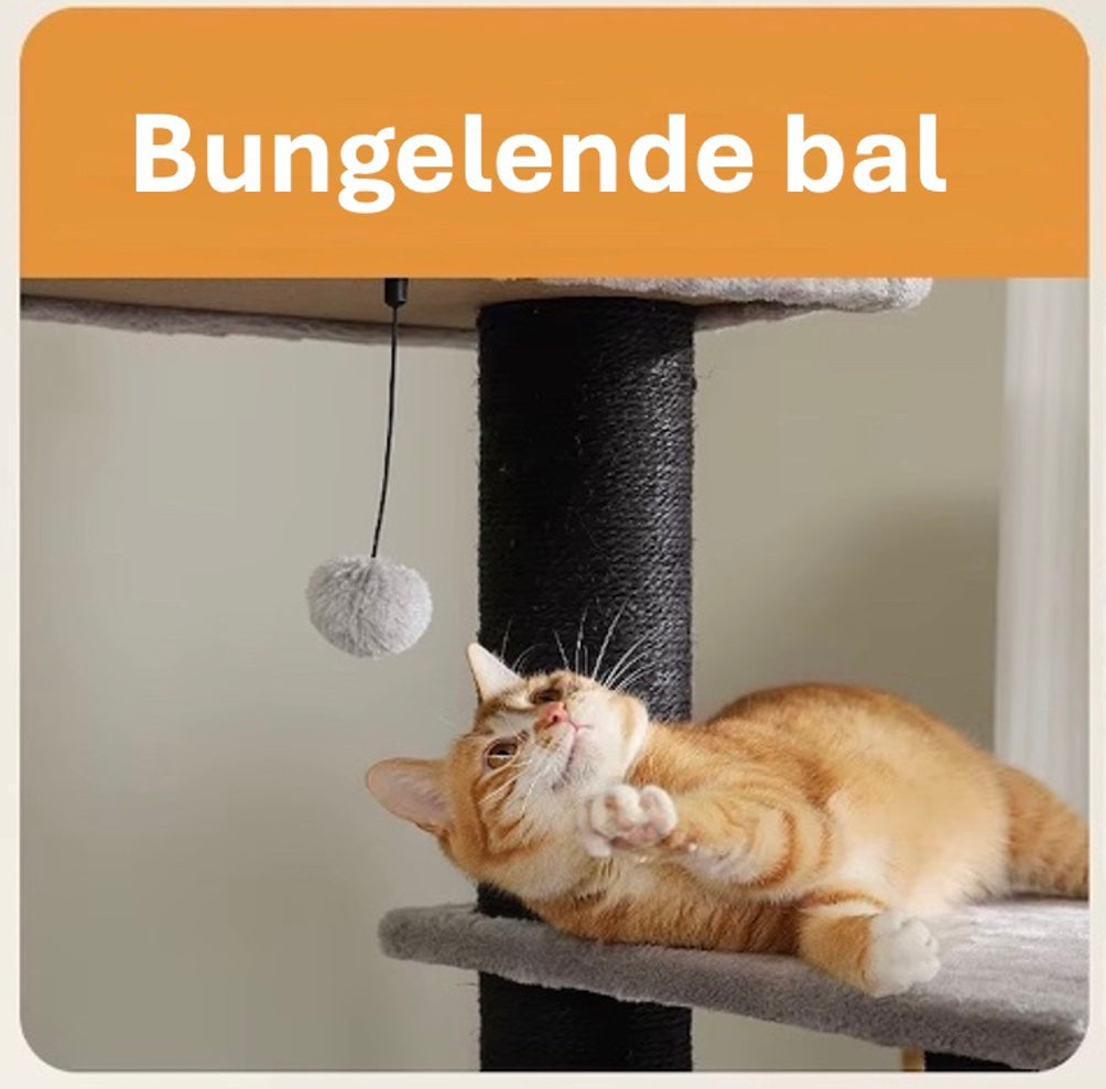 Maine Coon Speeltoren XXL toont zijn bungelende speelbal.