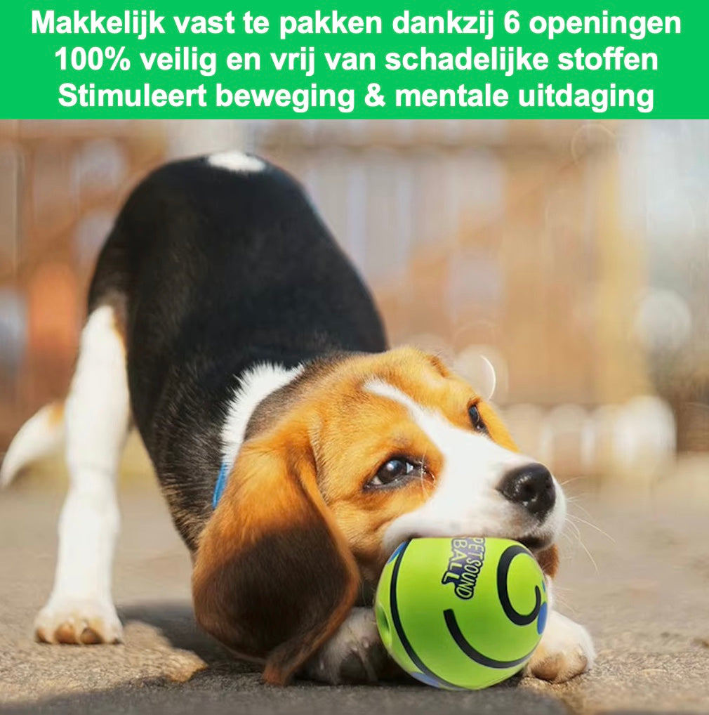Een kleine hond speelt op straat met de magic ball van Unopets. De achtergrond is wazig, waardoor de volledige focus op de bal en hond is. Dit is een groene bal met een blauwe pootafdruk. De bal is makkelijk vast te pakken, 100% veilig en stimuleert beweging & mentale uitdaging.
