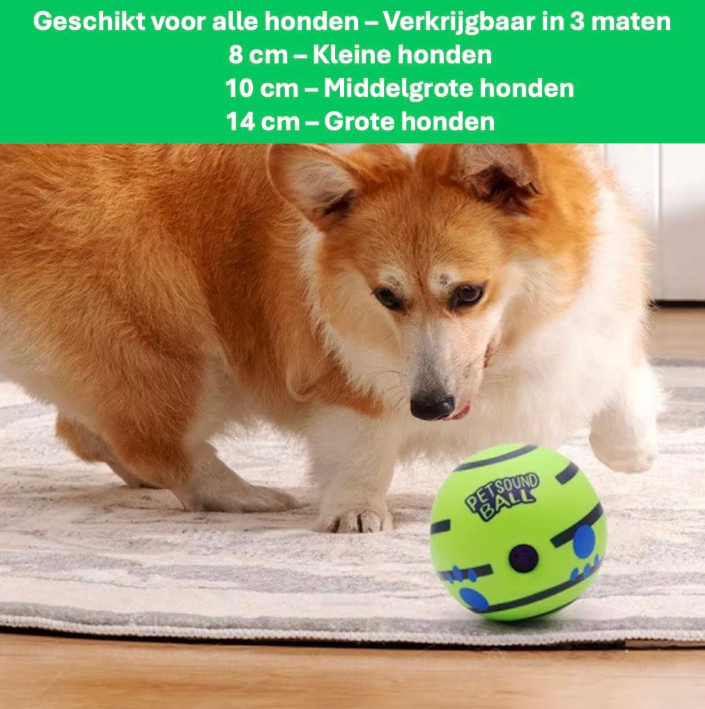 Een Corgi speelt met een groene bal die geschikt is voor alle honden, verkrijgbaar in 3 maten:
8 cm - voor kleine honden
10 cm - voor middelgrote honden
14 cm - voor grote honden