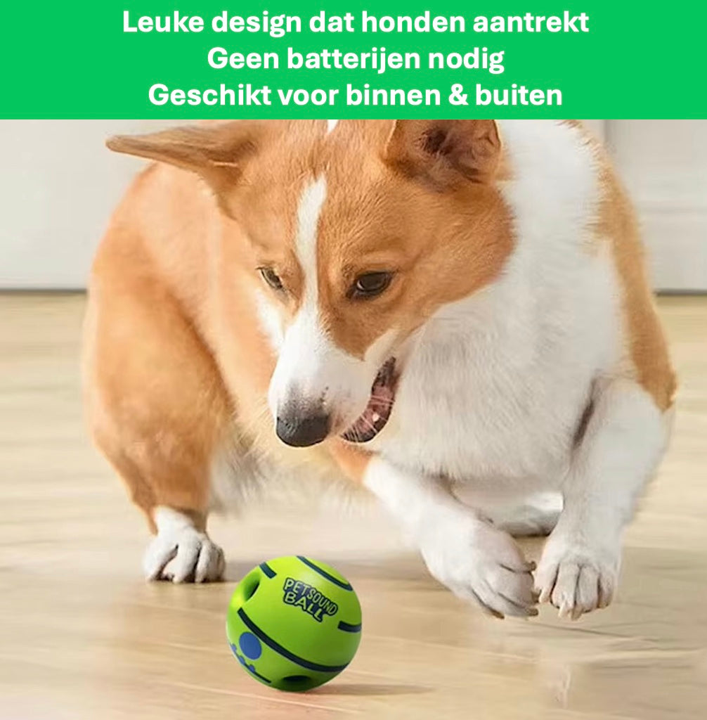 Een Corgi speelt binnenshuis met de groene magic ball van Unopets. De tekst op het plaatje omschrijft de volgende elementen: