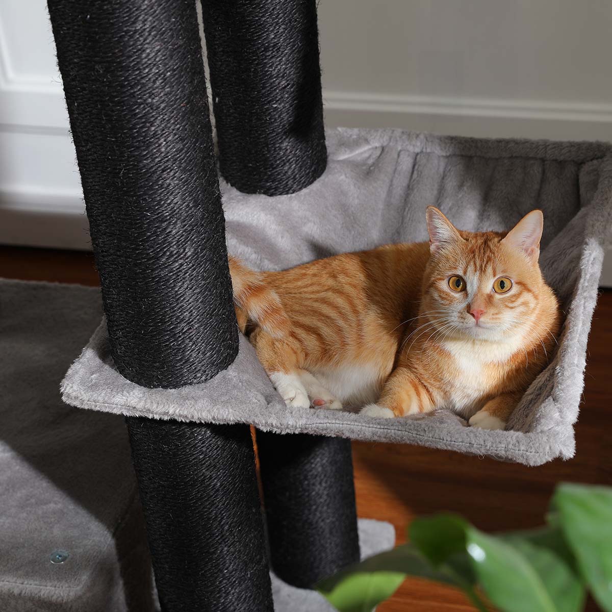 Maine Coon Speeltoren XXL met hangend vierkant mandbed in grijze kleur, met kat