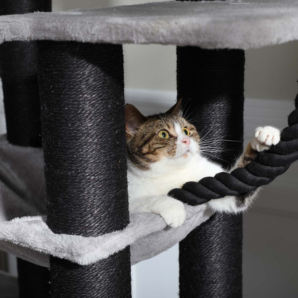 Maine Coon Speeltoren XXL toont het speeltouw in close-up, met kat