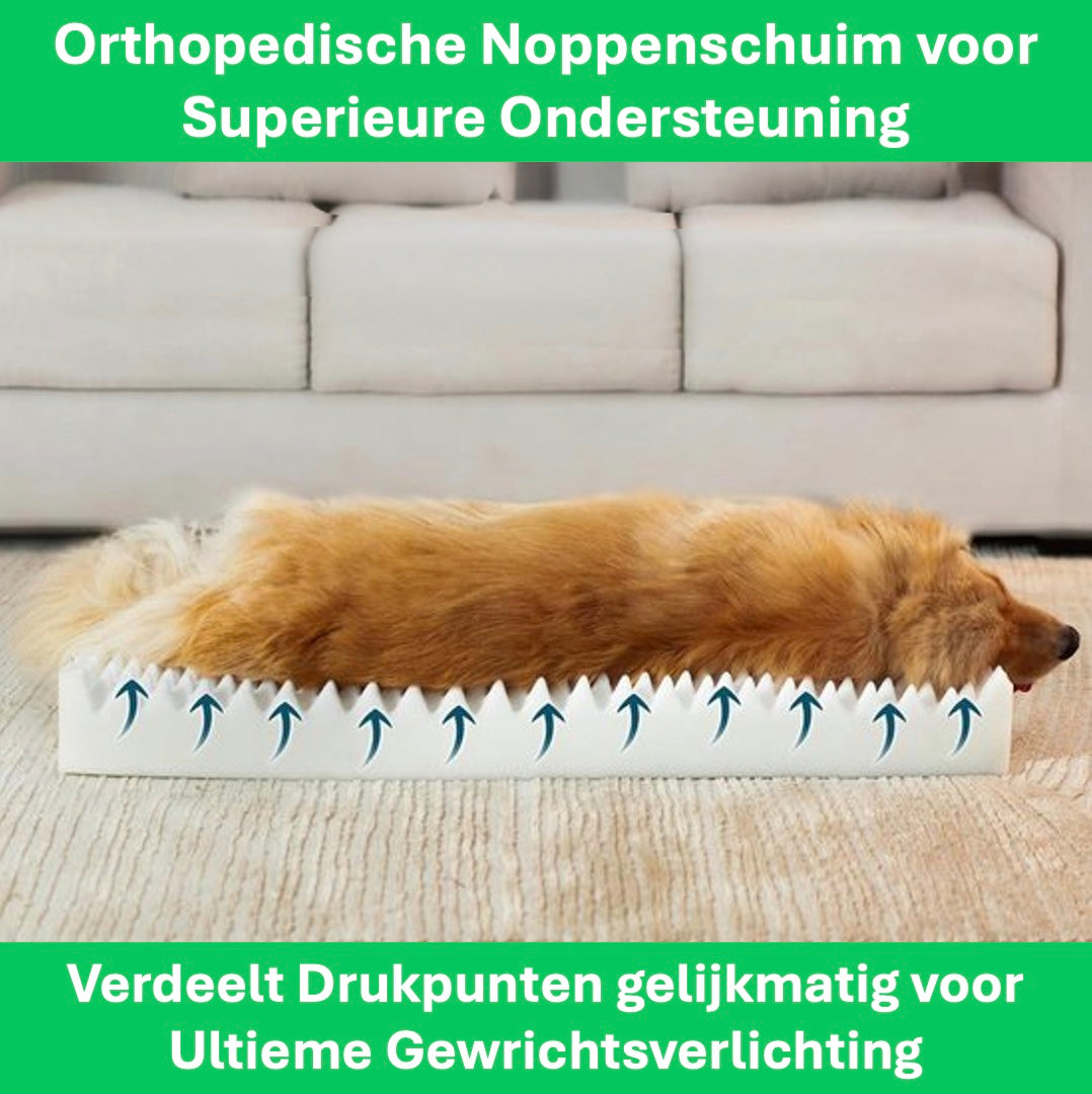 Een Golden Retriever ligt ontspannen op een grijs orthopedisch hondenbed en toont zijn luxueuze vacht. Blauwe pijlen geven de luchtcirculatie onder de hond weer, wat het comfort benadrukt. Het bed heeft een oppervlak van gestructureerde stof en een zachte, verhoogde rand