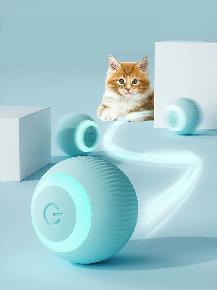 Een nieuwsgierige kat kijkt aandachtig naar de Interactieve Smart Bal, gefascineerd door de interactieve functies die enthousiasme en speelplezier opwekken