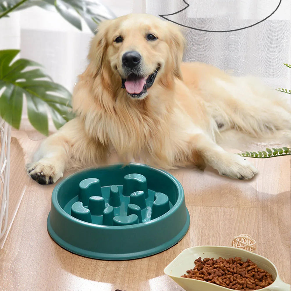Slow Feeder for Dogs and Cats filled with dog food, ready for a golden retriever to enjoy a meal.