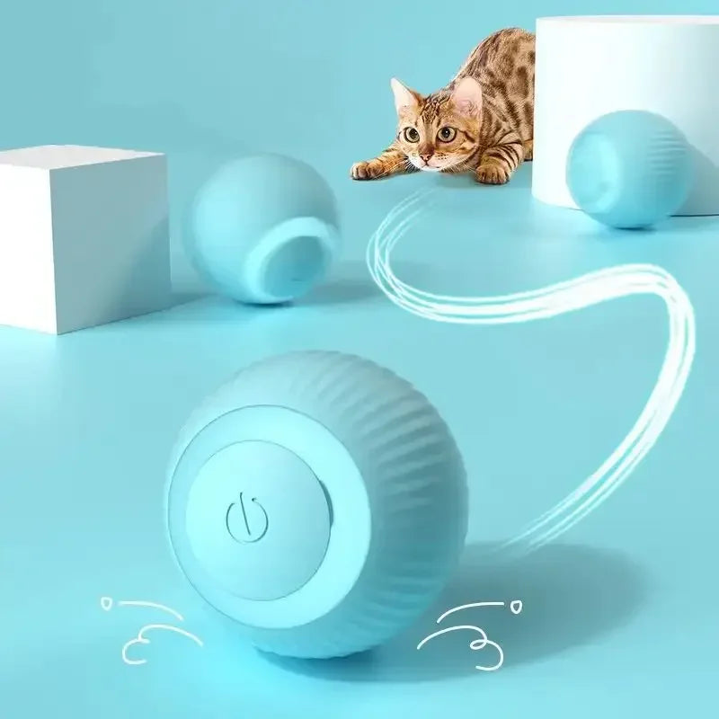 Een kat speelt energiek met een Interactieve Smart Bal op een felblauwe achtergrond, vol opwinding en speelsheid, ideaal voor zowel binnen- als buitenshuis plezier