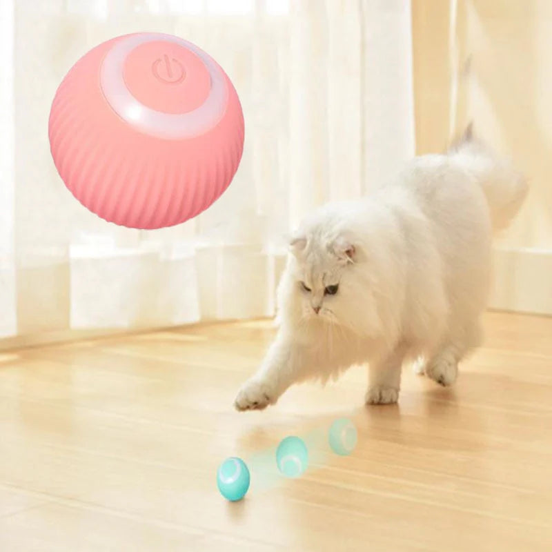 Een speelse Perzische kat slaat naar de Interactieve Smart Bal, waarbij zijn zachte pootjes reageren op de interactieve bewegingen van de bal, wat zorgt voor een leuk en stimulerend speelmomen