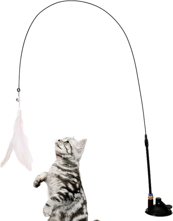 Een kat staat op zijn achterpoten en reikt naar het Betoverende Speelhengel veerspeelgoed, volledig betrokken bij het speelse moment