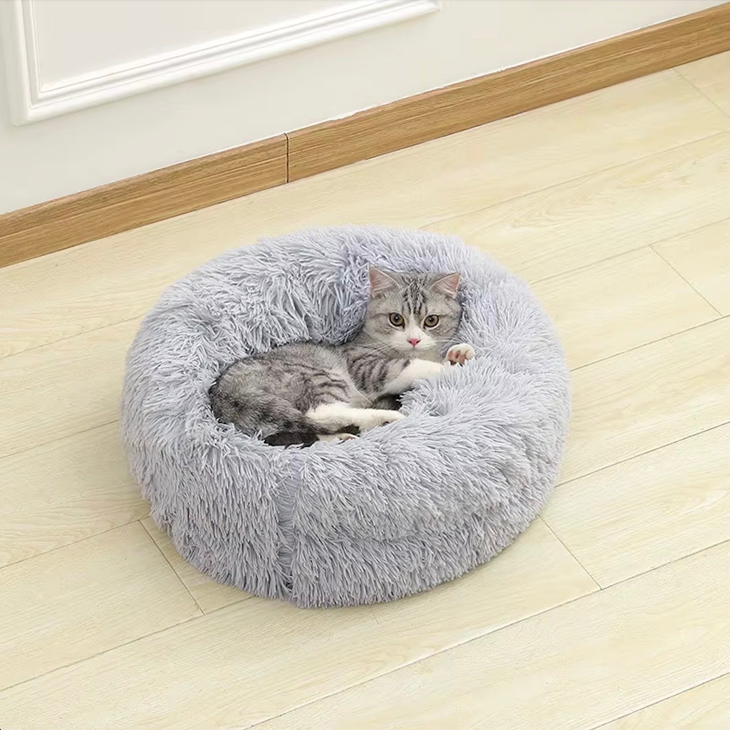 Ontspannen kitten liggend in een grijze, fluffy donutmand in een lichte, sfeervolle woonkamer met zachte, lichte stoffering. Warme en vrolijke sfeer.