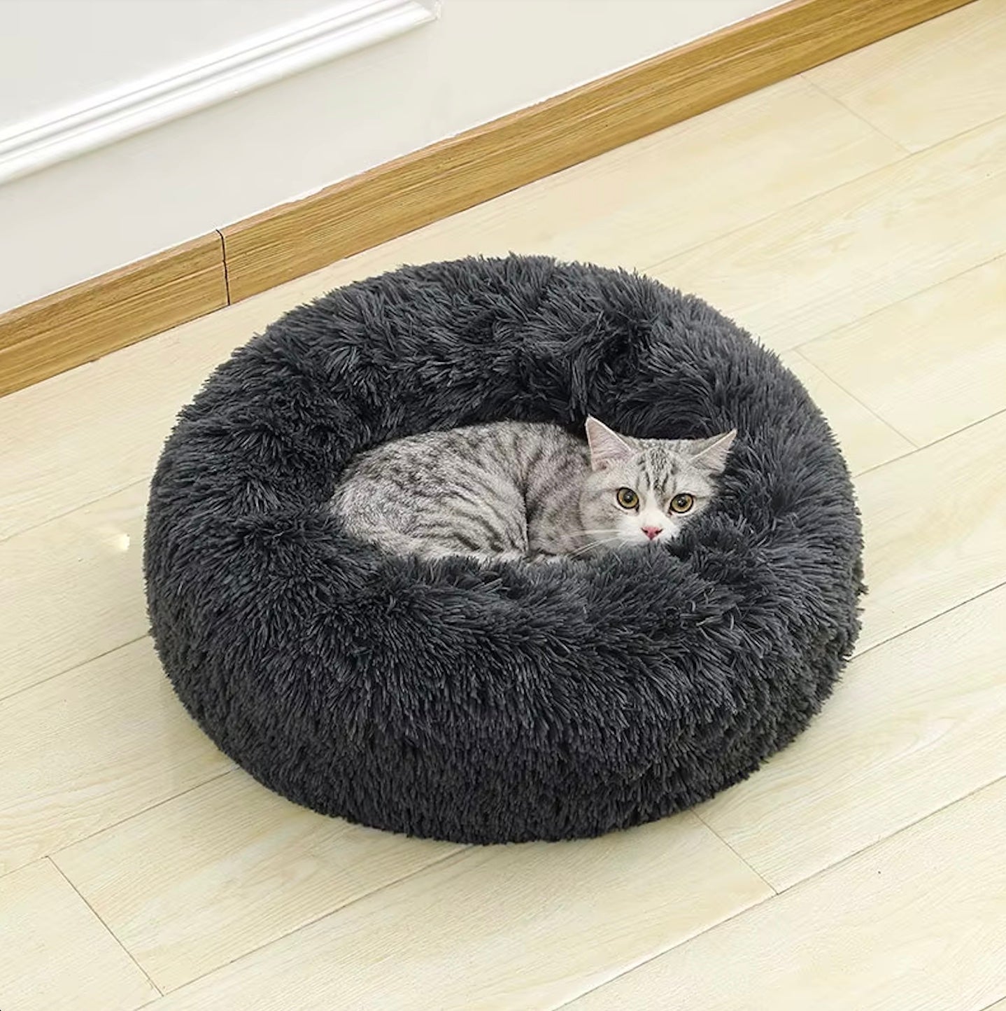 Grijze kat die ontspannen in een zwarte kattenbed van Unopets ligt op een laminaatvloer in een lichte woonkamer en recht in de cameralens kijkt.