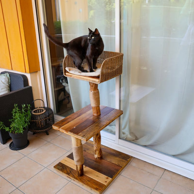 Gemaakt van hout – TerrasNest met kat