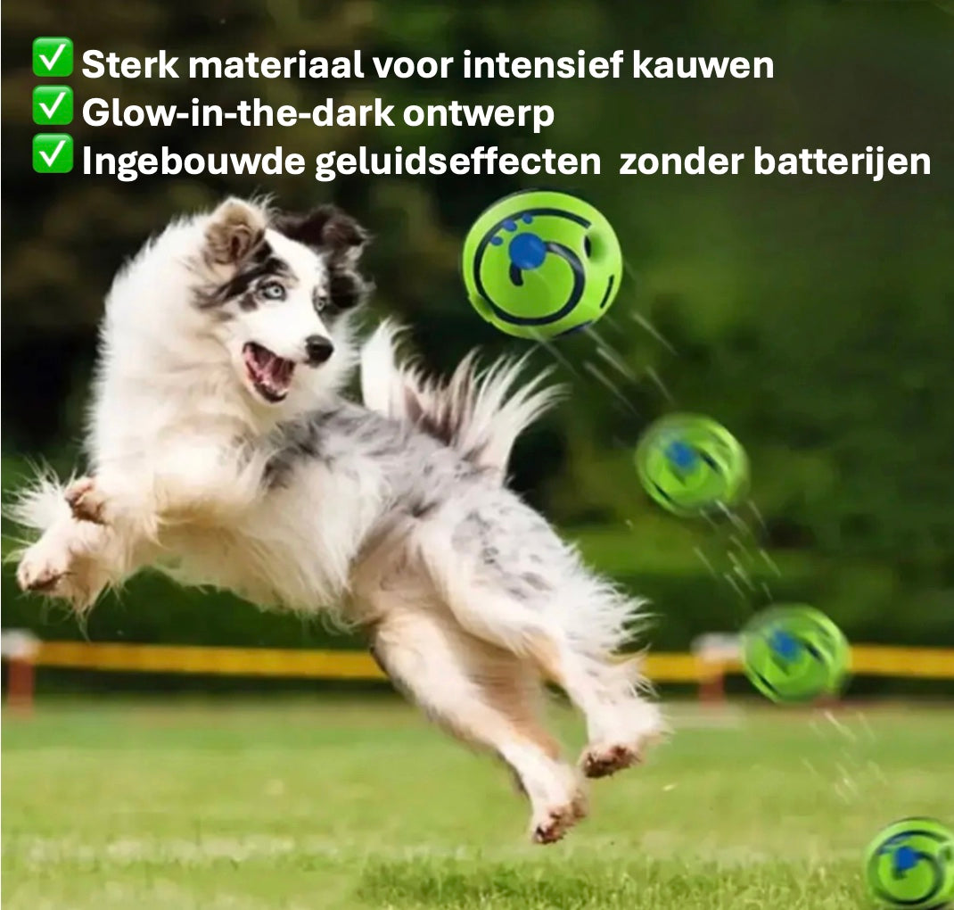 Husky springt omhoog om een groene Magic Ball te vangen, en vangt deze perfect met zijn speelse energie en atletische kracht in een levendige, kleurrijke omgeving. De tekst op het plaatje omschrijft de bal als duurzaam & flexibel, biedt interactief speelplezier, met glow-in-the-dark ontwerp en ingebouwde geluidseffecten.