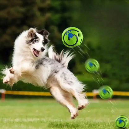 Magic Ball speelbal voor honden, ideaal voor apporteren met 6 openingen. Flexibel en duurzaam ontwerp voor energieke speelsessies. Inclusief geluidseffecten voor extra spanning, zonder batterijen. Beschikbaar in verschillende maten voor kleine, middelgrote en grote honden. Glow-in-the-dark functie voor nachtelijk speelplezier. Veilig en vrij van schadelijke stoffen, bevordert fysieke activiteit en gehoorzaamheid. Perfect speelgoed voor hondenliefhebbers.