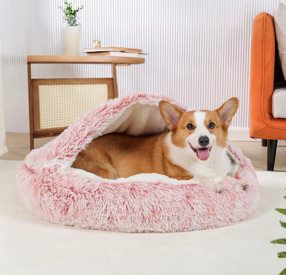 Foto van een vrolijke hond die zich ontspant in een roze mand. De mand is zacht van binnen met een mooie uitstraling. Aan de hond kan je zien dat die het erg fijn vind om in de mand te liggen.