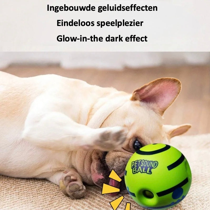 Magic Ball speelbal voor honden, ideaal voor apporteren met 6 openingen. Flexibel en duurzaam ontwerp voor energieke speelsessies. Inclusief geluidseffecten voor extra spanning, zonder batterijen. Beschikbaar in verschillende maten voor kleine, middelgrote en grote honden. Glow-in-the-dark functie voor nachtelijk speelplezier. Veilig en vrij van schadelijke stoffen, bevordert fysieke activiteit en gehoorzaamheid. Perfect speelgoed voor hondenliefhebbers.