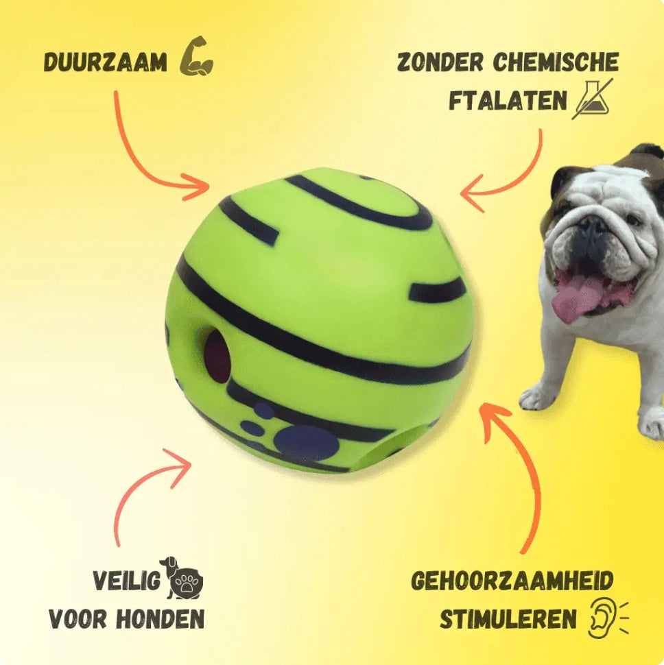 Magic Ball speelbal voor honden, ideaal voor apporteren met 6 openingen. Flexibel en duurzaam ontwerp voor energieke speelsessies. Inclusief geluidseffecten voor extra spanning, zonder batterijen. Beschikbaar in verschillende maten voor kleine, middelgrote en grote honden. Glow-in-the-dark functie voor nachtelijk speelplezier. Veilig en vrij van schadelijke stoffen, bevordert fysieke activiteit en gehoorzaamheid. Perfect speelgoed voor hondenliefhebbers.