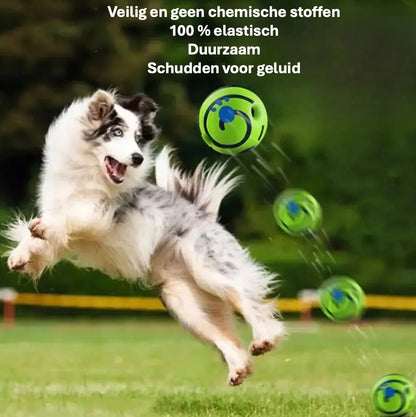 Magic Ball speelbal voor honden, ideaal voor apporteren met 6 openingen. Flexibel en duurzaam ontwerp voor energieke speelsessies. Inclusief geluidseffecten voor extra spanning, zonder batterijen. Beschikbaar in verschillende maten voor kleine, middelgrote en grote honden. Glow-in-the-dark functie voor nachtelijk speelplezier. Veilig en vrij van schadelijke stoffen, bevordert fysieke activiteit en gehoorzaamheid. Perfect speelgoed voor hondenliefhebbers.