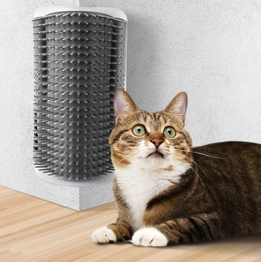 Fluffy kat rust naast een Kattenmassageborstel, een verzorgingstool ontworpen voor ontspanning, zelfzorg en extra comfort met kleefstrips
