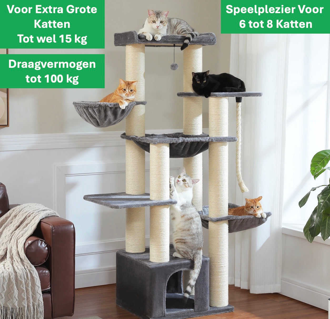 Stevige Krabpaal Voor Grote Katten | 7-Lagen Klimparadijs