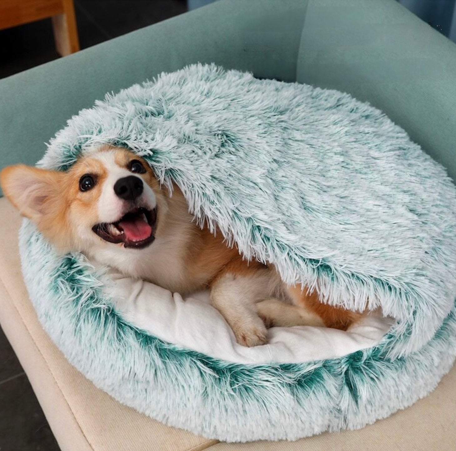 Een hond luiert in een pluizig bed, wat het comfort benadrukt van het Unopets Slaapnest voor katten en honden