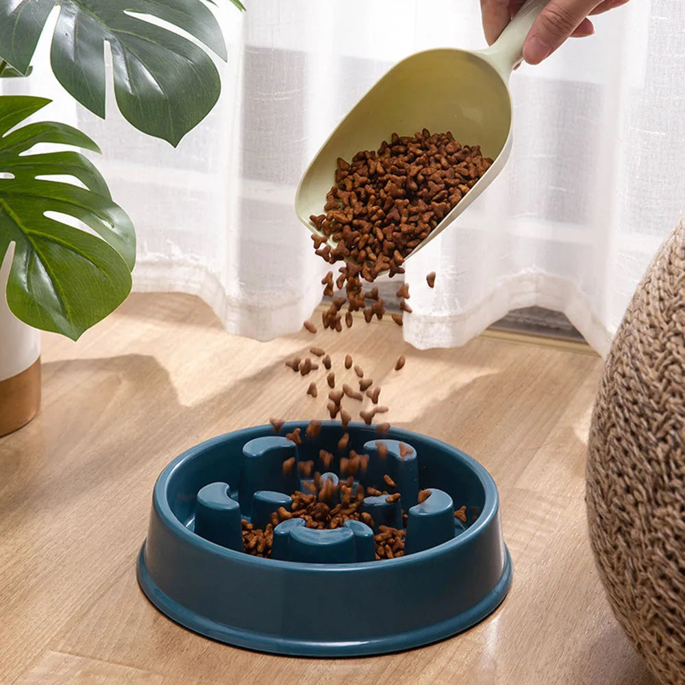 Set verhoogde keramische hondenkommen met antislip bamboestandaard, voeder en water set voor katten en honden, ideaal voor katten en puppy's, 2 kopjes, 480 ml Set verhoogde keramische hondenkommen met antislip bamboestandaard, voeder en water set voor katten en honden, ideaal voor katten en puppy's, 2 kopjes, 480 ml