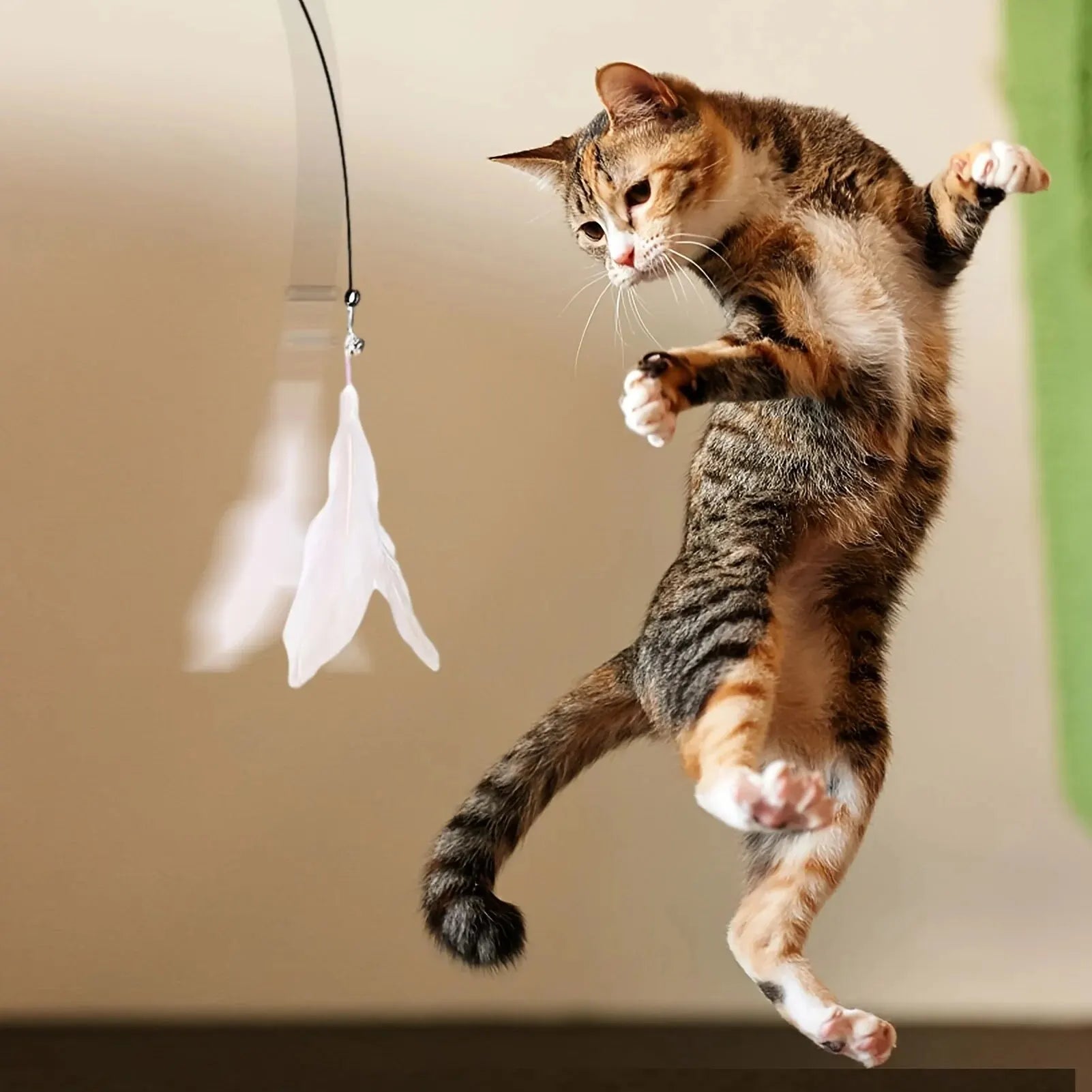 Een kat springt energiek terwijl hij speelt met het Betoverende Speelhengel veerspeelgoed, en toont zijn speelse aard en opwinding.