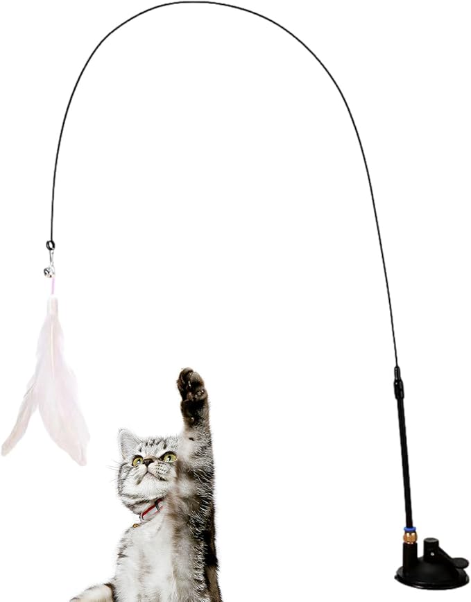 Een kat reikt enthousiast naar het Betoverende Speelhengel veerspeelgoed, en toont zijn opwinding en speelse energie