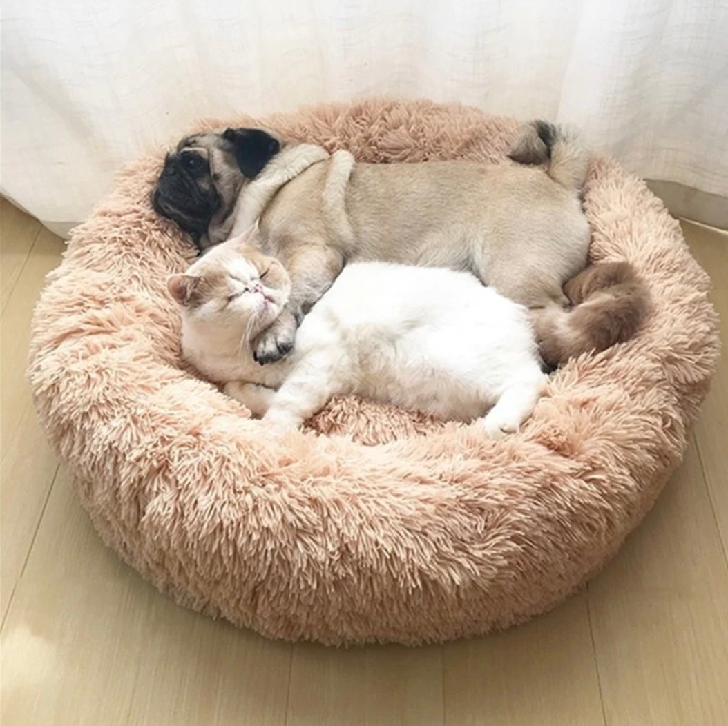 Een hond en kat liggen vredig samen in een pluizig Unopets mand voor katten en honden.
