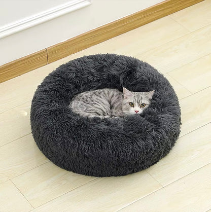 Grijze kat die ontspannen in een zwarte kattenbed van Unopets ligt op een laminaatvloer in een lichte woonkamer en recht in de cameralens kijkt.