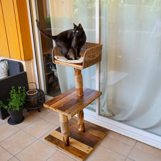 Gemaakt van hout – TerrasNest met kat